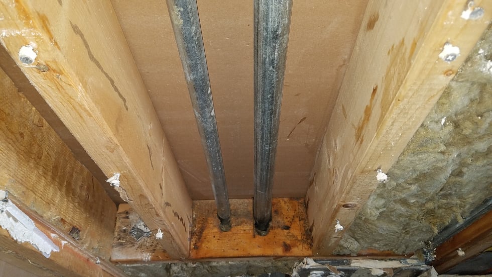 Mold and Pest Control Companies
